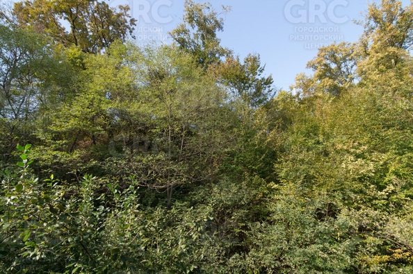 
  Продается 1-комн. квартира, 27.1 м², Известинская ул, д. 29/2
. Фото 4.