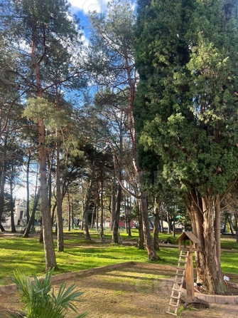 
  Продается студия, 21.2 м², Ленина ул, д. 219
. Фото 25.