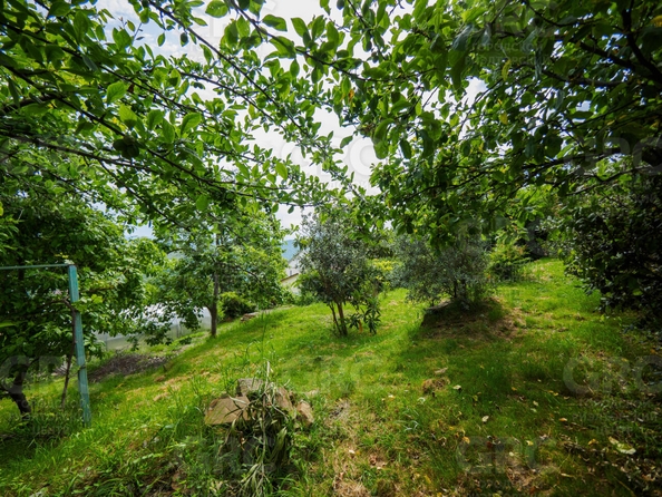 
  Продается дом, 240 м², Сочи
. Фото 42.