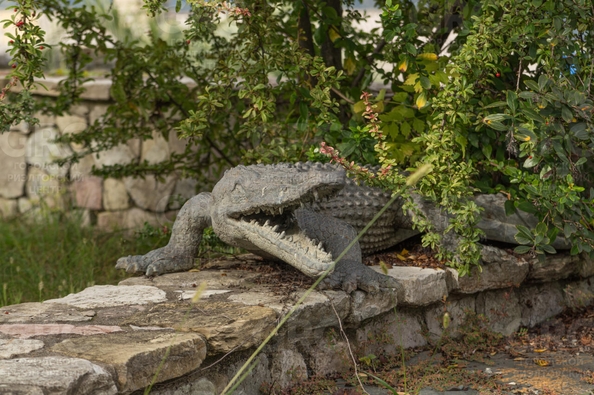 
  Продается дом, 1797 м², Сочи
. Фото 44.