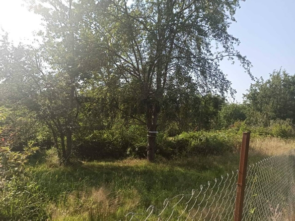 
  Продам  дачный участок Сочи

. Фото 7.