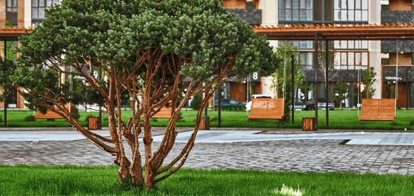 
  Продается студия 22.25 м², в ЖК Образцово, дом 8. Фото 8.