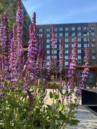
  Продается 1-комн. квартира 33.7 м², в ЖК Зеленая территория, литера 1.1. Фото 22.
