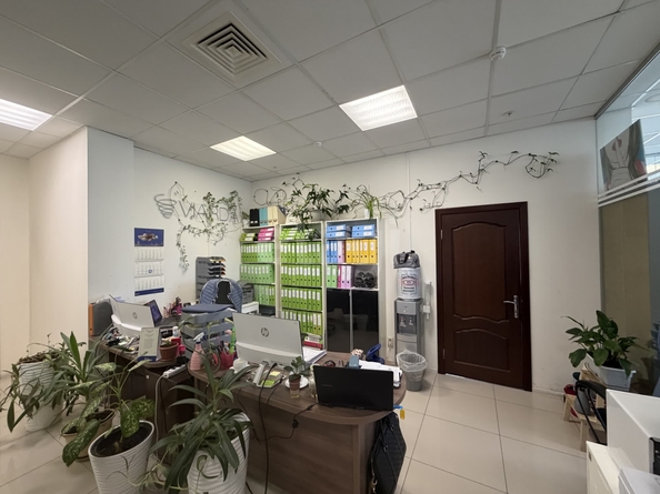 
  Сдается офис 172.3 м². Фото 12.