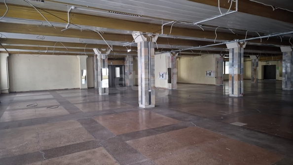 
  Сдается торговая площадь 1100 м². Фото 5.