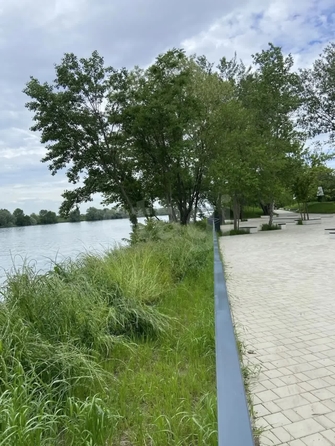 
  Продается студия 23.2 м². Фото 25.