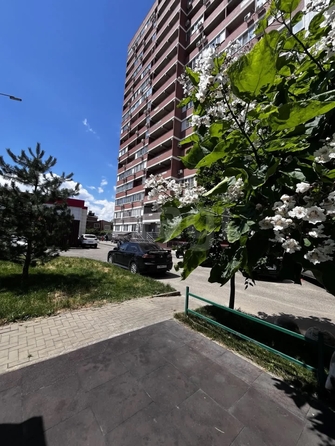
  Продается студия 19.7 м². Фото 23.