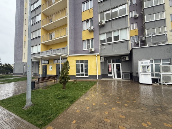 
  Сдается универсальное помещение 88.7 м². Фото 9.