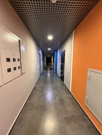 
  Продается студия 26.3 м², в ЖК Абрикосово, литера 2. Фото 4.
