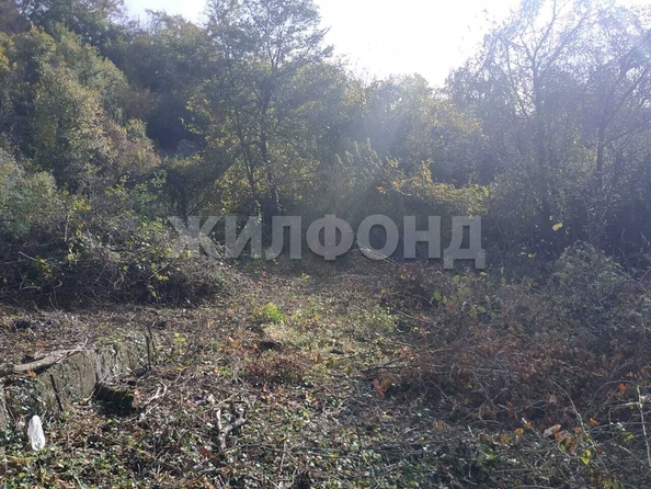 
  Продам  дачный участок Горное Лоо

. Фото 2.
