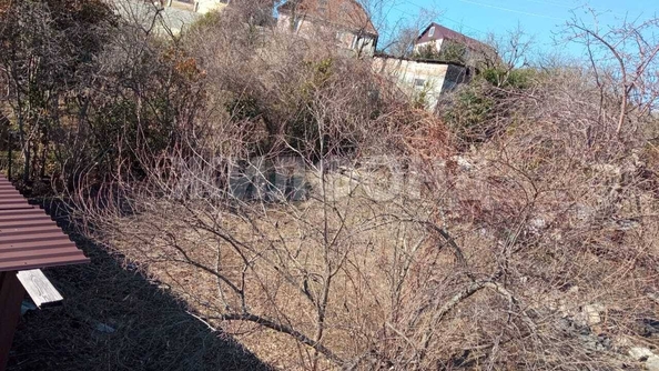 
  Продам  дачный участок Горное Лоо

. Фото 3.