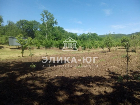 
  Продается земельный участок, 220 соток, село Дефановка
. Фото 19.