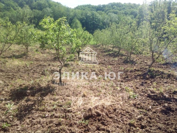 
  Продается земельный участок, 220 соток, село Дефановка
. Фото 16.