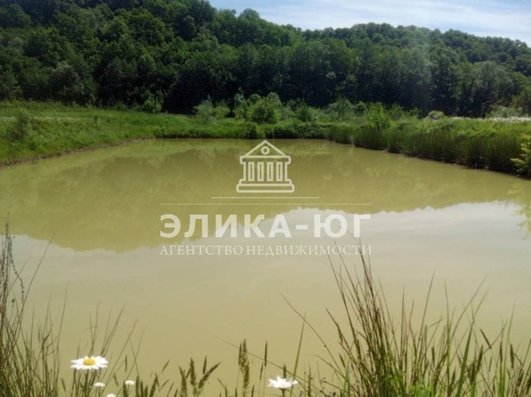 
  Продается земельный участок 220 соток. Фото 8.