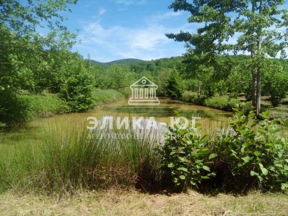 
  Продается земельный участок 220 соток. Фото 13.