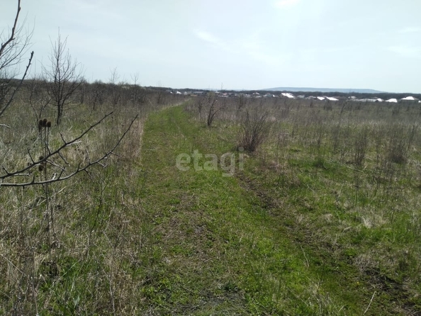 
  Продается земельный участок 11 соток. Фото 3.