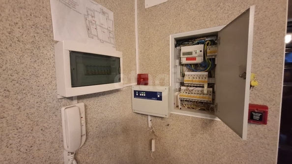 
  Продается универсальное помещение, 193 м², Ленина ул, д. 397а
. Фото 9.