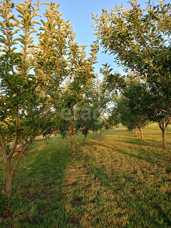 
  Продается земельный участок, 9050.73 соток, Ставрополь
. Фото 29.