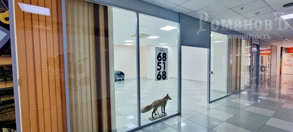 
  Продается универсальное помещение, 145 м², Доваторцев ул, д. 30Б
. Фото 12.