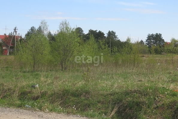 
  Продается земельный участок, 8 соток, село Надежда
. Фото 5.