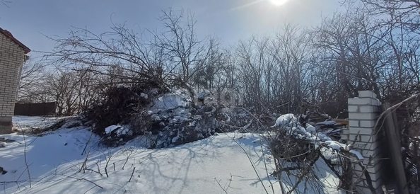 
  Продается земельный участок 5 соток. Фото 4.