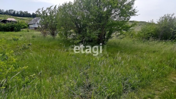 
  Продается земельный участок, 17.3 соток, село Татарка
. Фото 7.