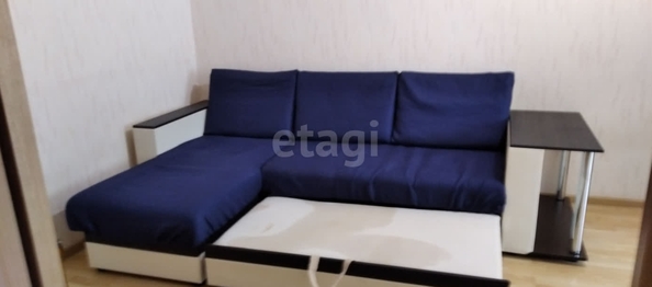
  Сдается 1-комн. квартира, 43 м², Пирогова ул, д. 24/2
. Фото 1.