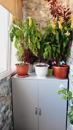 
  Продается 1-комн. квартира, 44 м², Пирогова ул, д. 78
. Фото 13.