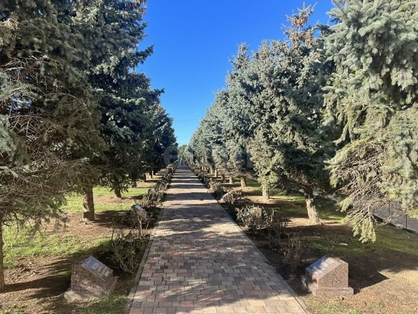 
  Продается универсальное помещение, 320.6 м², Серова ул, д. 472/4
. Фото 8.