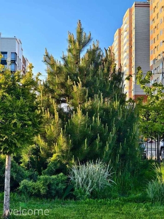 
  Продается 3-комн. квартира, 93 м², Перспективная ул, д. 5к1
. Фото 20.