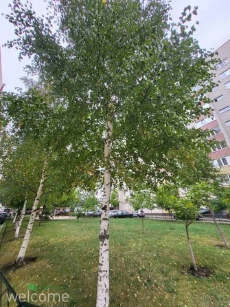 
  Продается 1-комн. квартира, 30.8 м², Родосская ул, д. 11
. Фото 1.