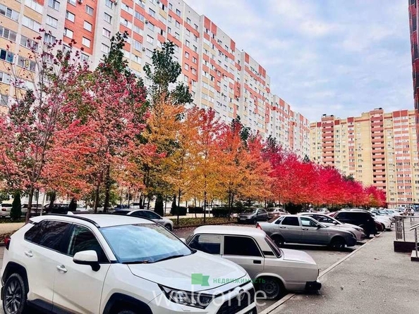 
  Продается 1-комн. квартира, 34 м², Рогожникова ул, д. 15
. Фото 13.