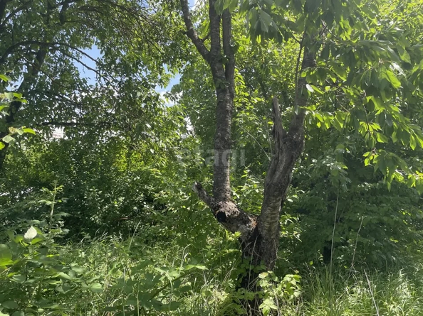 
  Продается земельный участок, 7.41 соток, Ставрополь
. Фото 6.