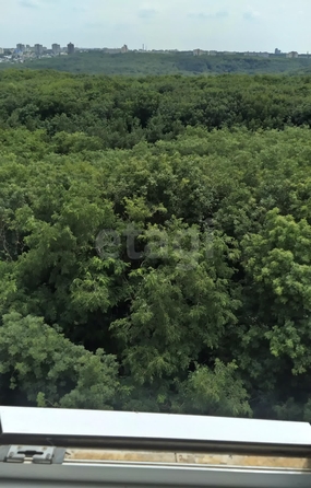 
  Сдается 3-комн. квартира, 68.1 м², Васякина ул, д. 192
. Фото 12.