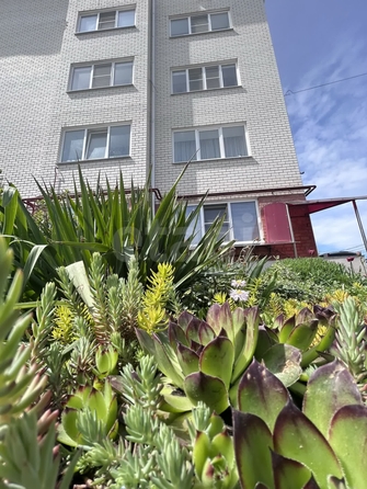 
  Продается 1-комн. квартира 37.4 м². Фото 17.