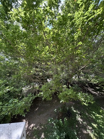 
  Продается 2-комн. квартира 50.1 м². Фото 9.