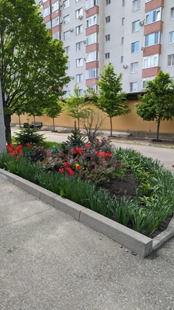 
  Продается 2-комн. квартира 43 м². Фото 17.