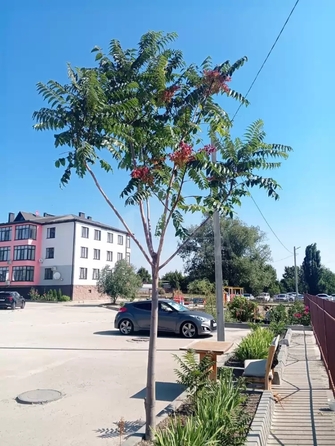 
  Продается 1-комн. квартира 41.4 м². Фото 11.