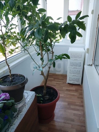 
  Продается 2-комн. квартира 64 м². Фото 38.