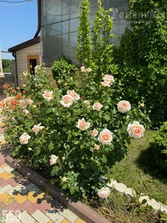 
  Продается дом 506.2 м². Фото 50.