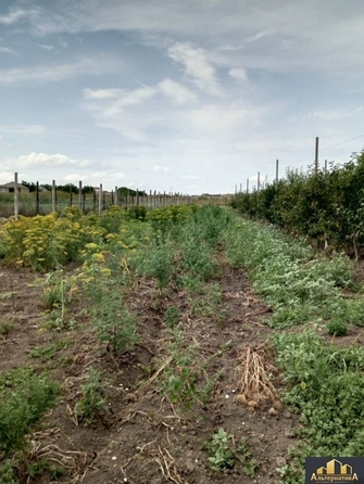 
  Продается дом, 130 м², Ессентуки
. Фото 19.