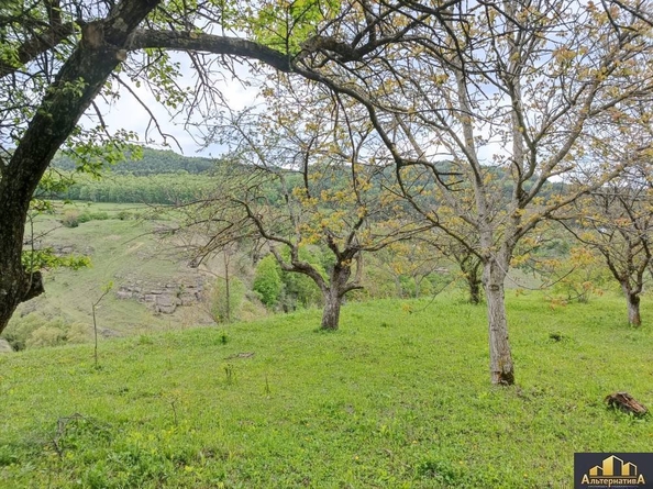 
  Продается земельный участок, 8 соток, Кисловодск
. Фото 5.