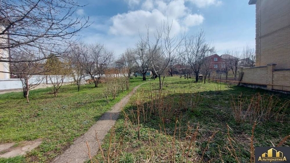 
  Продается земельный участок 19.5 соток. Фото 5.