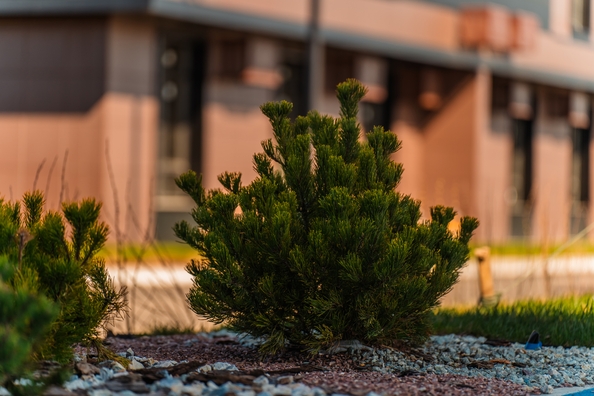 
  Продается 3-комн. квартира 64.15 м², в ЖК Флора, литера 2.2. Фото 22.