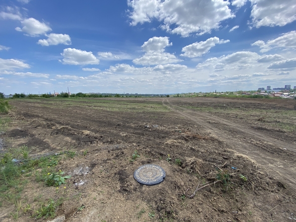 
  Продается земельный участок 214 соток. Фото 6.