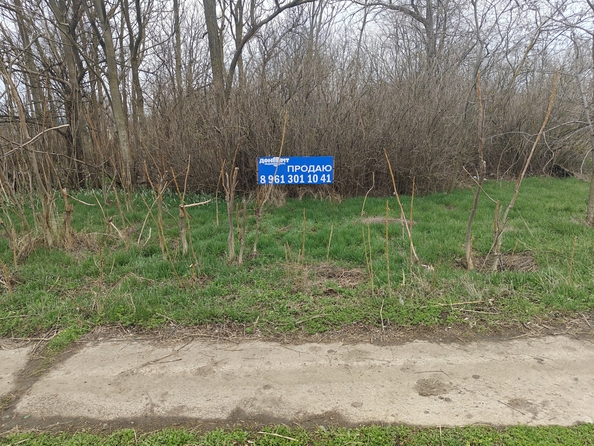 
  Продается земельный участок 38.93 соток. Фото 6.