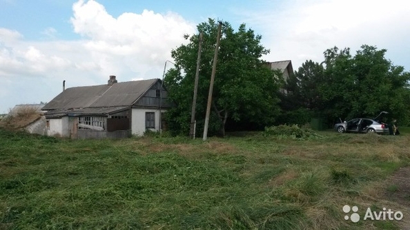 
  Продается земельный участок 29 соток. Фото 3.