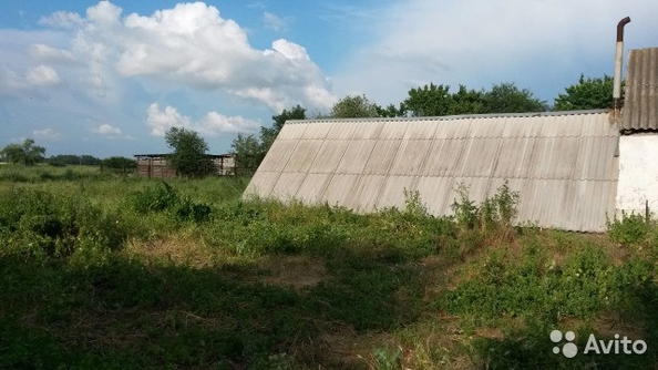 
  Продается земельный участок 29 соток. Фото 4.