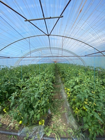 
  Продается коттедж 62.2 м². Фото 4.