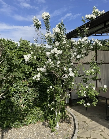 
  Продается коттедж 86.5 м². Фото 32.